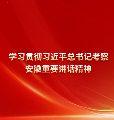 学习贯彻习近平总书记考察安徽重要讲话精神